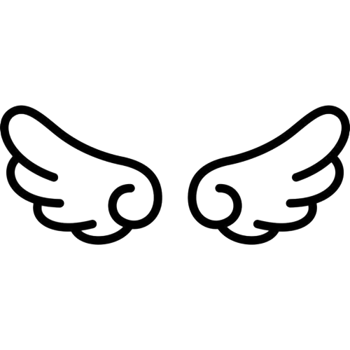 black outline wings