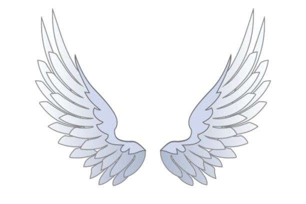 blue gradient wings