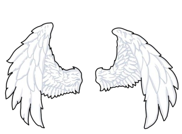 feather outline wings