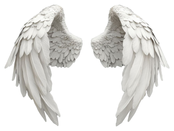 realistic gray wings