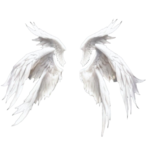 realistic white wings